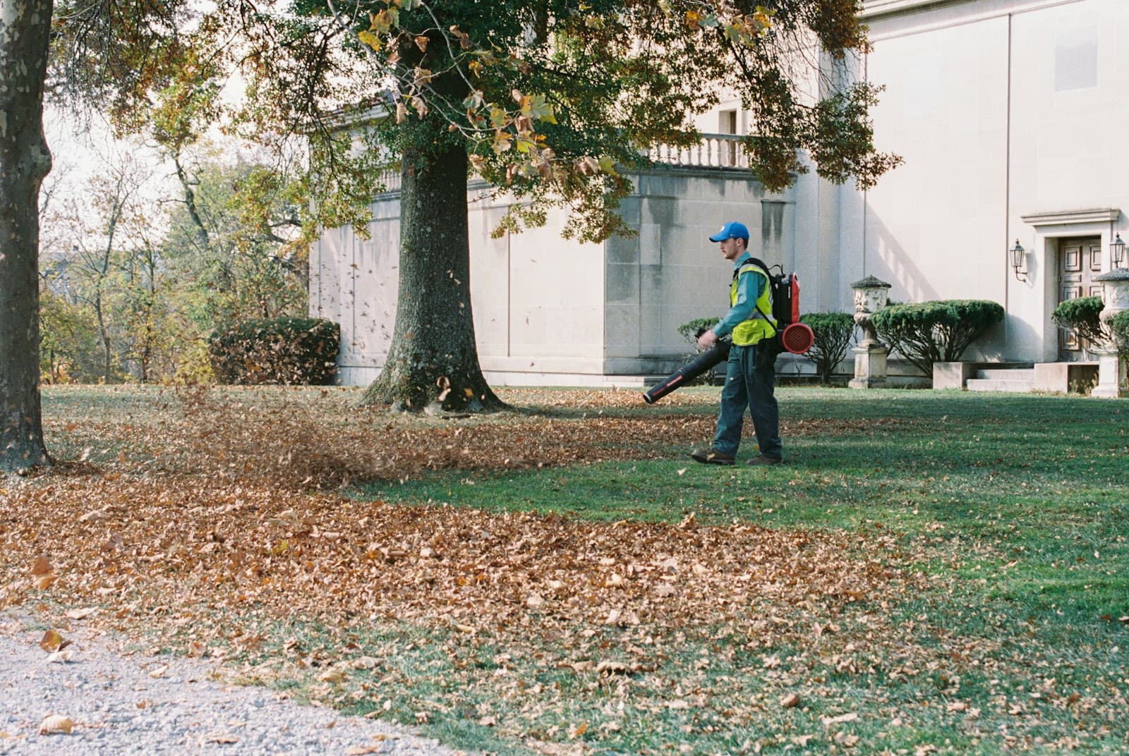 Leaf blower clearing autumn leaves from a yard