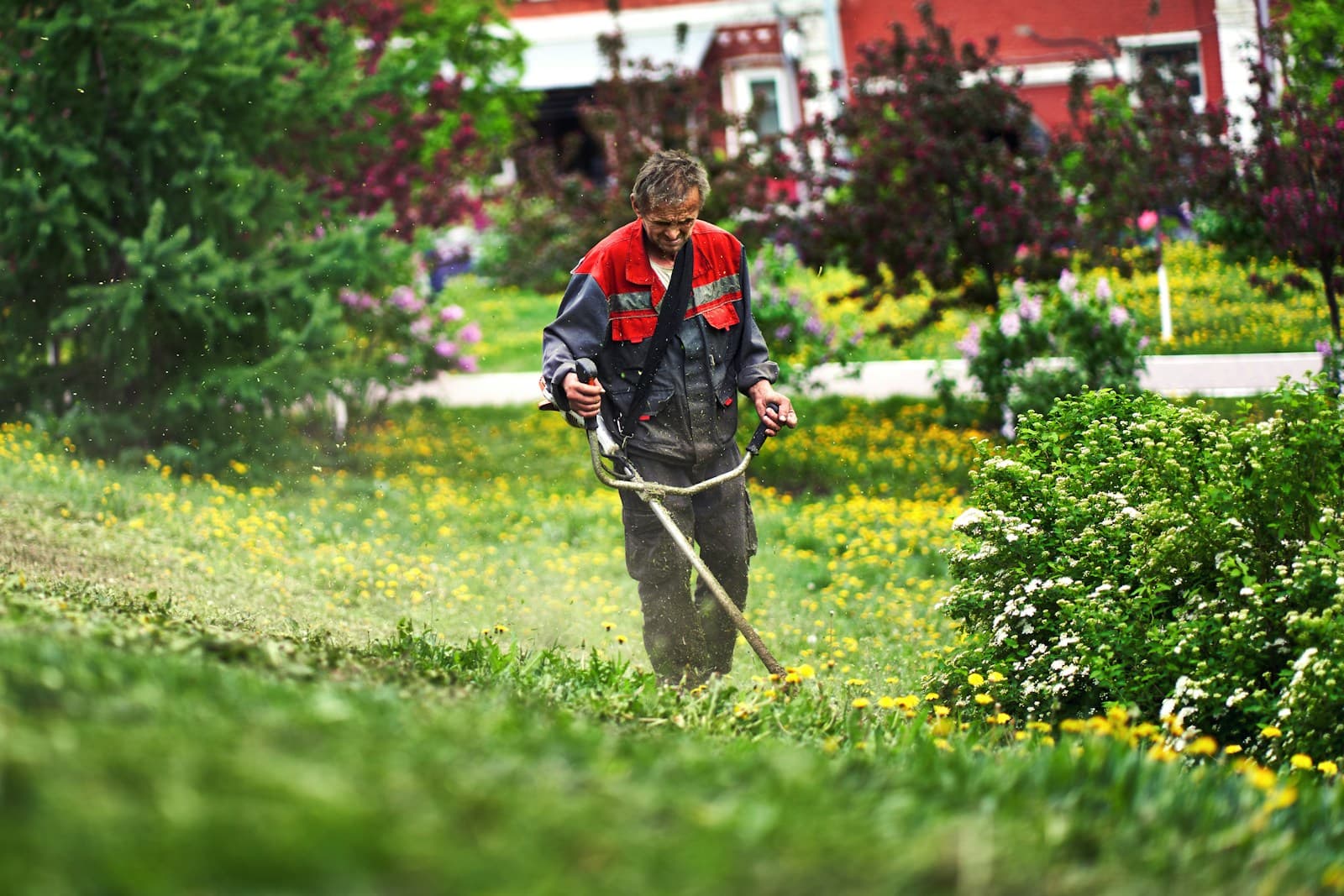 Trimming the edge of a lush green lawn